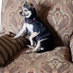 Profile Picture of Tina Dunlap (@tina_dunlap) on Instagram