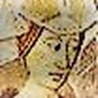 Profile Picture of Jamie Pilcher (@jamie-pilcher-2) on Quora