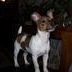 Profile Picture of Sherry Trumbull (@sherrytrumbull) on Myspace
