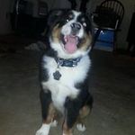 Profile Picture of Dave Coburn (@wellguy7) on Instagram