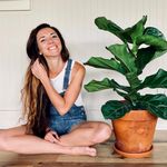 Profile Picture of Lauren Jacqueline (@farm_n_charm) on Instagram