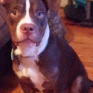 Profile Picture of Hope Fields (@hope.fields.313924) on Facebook