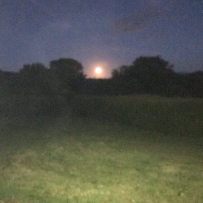 Profile Picture of Tom Mullins (@notnow123456) on Twitter