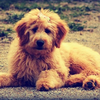 Profile Picture of Paul Biber (@PaulPhenom85) on Twitter