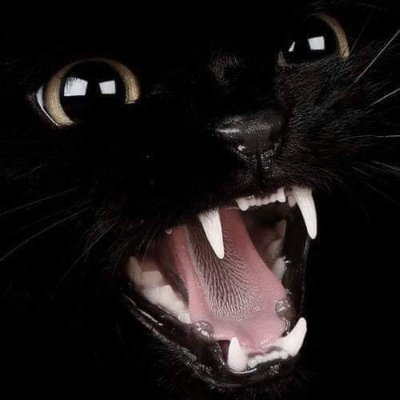 Giblaz - Twitter Profile Picture of Giblaz (@PaulGibler) on Twitter