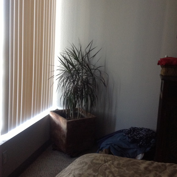 Profile Picture of Janet Detour (@jayci) on Poshmark