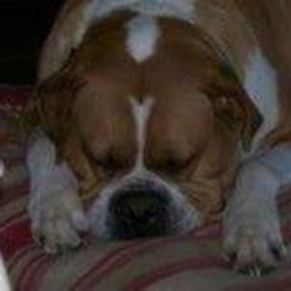 Profile Picture of Devin Williamson (@devinwilliamson) on Poshmark