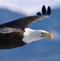 Profile Picture of Richard Catley (@richard-catley) on Quora