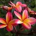 Profile Picture of Sylwia Bruderek (@sylwia.rutkowska.90260) on Facebook