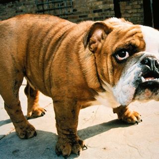 Profile Picture of Steve Hamner (@Steve-Hamner) on Facebook