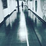 Profile Picture of TomásNG (@_tomas_navarrete) on Instagram