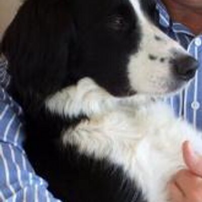 Profile Picture of Stephen Hobday (@Hobday2Hobday) on Twitter