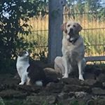 Profile Picture of Alexander Schuh (@schuh915) on Instagram