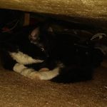 Profile Picture of Jesse Woods (@jessewoods2908) on Instagram