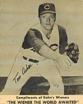 Profile Picture of Tom Ackeron Wikipedia