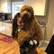 Profile Picture of John Mulready (@john.mulready.10) on Facebook