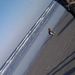 Profile Picture of Bobbie Hullett Ford (@bobbieford) on Pinterest