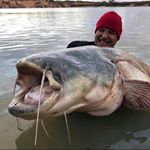 Profile Picture of Daniel Stormly (@monster_angling) on Instagram