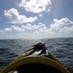 Profile Picture of Phyllis Keough Welu (@pwelu) on Instagram