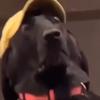Profile Picture of 𝒯𝒽ℴ𝓂𝒶𝓈 𝒞ℴ𝓁ℯ𝓂𝒶𝓃 (@thomascoleman99) on Tiktok
