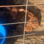 Profile Picture of Adam Maney (@Adam-Maney) on Facebook