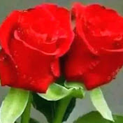 Profile Picture of Sandra Lucas (@sandralucas5470) on Youtube