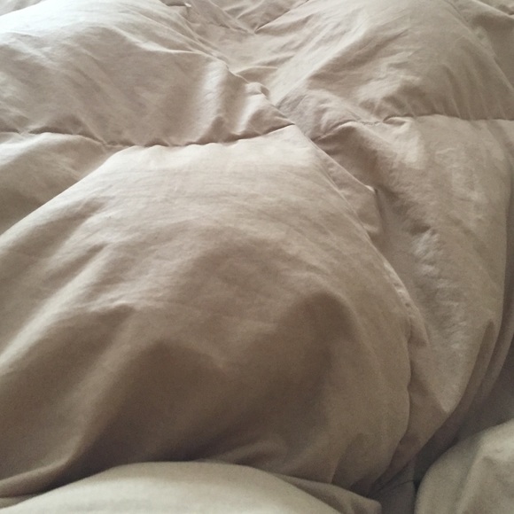 Profile Picture of Josh Chapman (@joshc85) on Poshmark