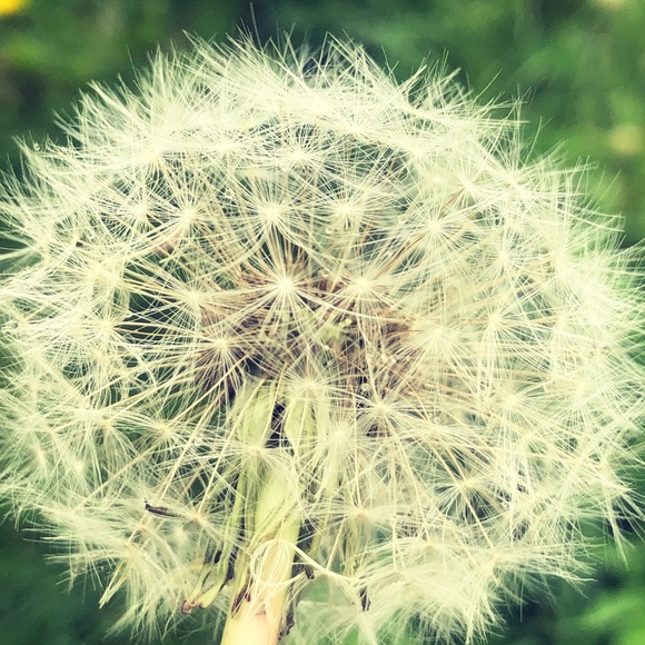 Profile Picture of Emma Beechey (@erb1974) on Poshmark