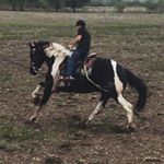 Profile Picture of Kevin Yahir Osuna Rodriguez (@kevinyahirosuna) on Instagram