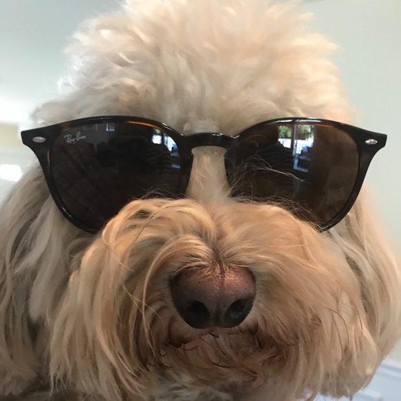 Profile Picture of Sheryl Simms (@goldilocks228) on Poshmark