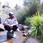 Profile Picture of Robert Baron (@baron.robert) on Instagram