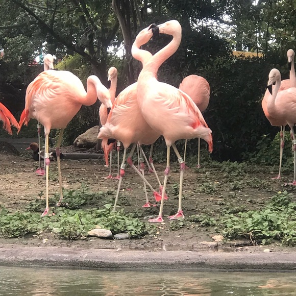 Profile Picture of Kelli Hunter (@kcampbell21) on Poshmark