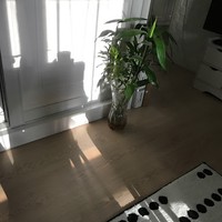 Profile Picture of Coco Ho (@coco-ho-7) on Quora