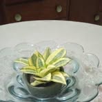 Profile Picture of Idalmis Camps (@Idalmis-Camps) on Facebook