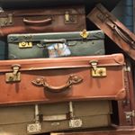 Freya McKeating - Instagram Profile Picture of Freya McKeating (@vincentvango_get_a_job) on Instagram