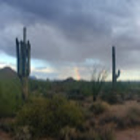 Profile Picture of Natalie Theroux (@natalietheroux) on Poshmark