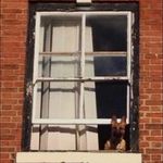 Profile Picture of Bruce Gibson (@bruce.gibson.3110) on Instagram