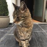 Profile Picture of Eric (@nadelgefluester_erding) on Instagram