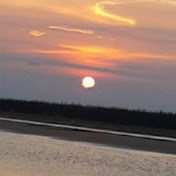 Profile Picture of Mymy Nguyen (@mymynguyen5372) on Youtube