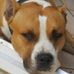 Profile Picture of Deve DAngelo (@deve.dangelo) on Facebook