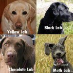 Profile Picture of Shawn Cone (@coneshawn22) on Instagram