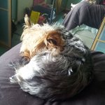 Profile Picture of Richard Seger (@rappaquad) on Instagram