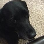 Profile Picture of Gus Daniel (@gus_daniel_3) on Instagram