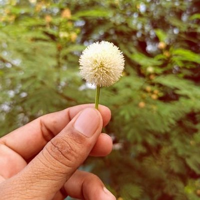 Profile Picture of RAHUL CHAUDHARY (@RahulYk12) on Twitter