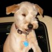 Profile Picture of John Tuttle (@johntuttle2798) on Youtube