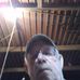 Profile Picture of Richard Simpsob (@Richard-Simpsob) on Facebook
