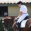 Profile Picture of Sabine Baron Wright (@Sabine Baron Wright Dressage) on Flickr