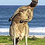 Profile Picture of P.reiss297 (@p.reiss297) on Flickr