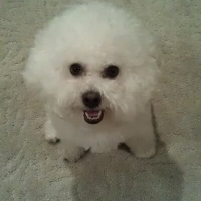 Profile Picture of Larry Trigg (@OnRoxMaxDaddy) on Twitter