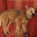 Profile Picture of Peggy Weldon (@peggy.weldon.585) on Facebook